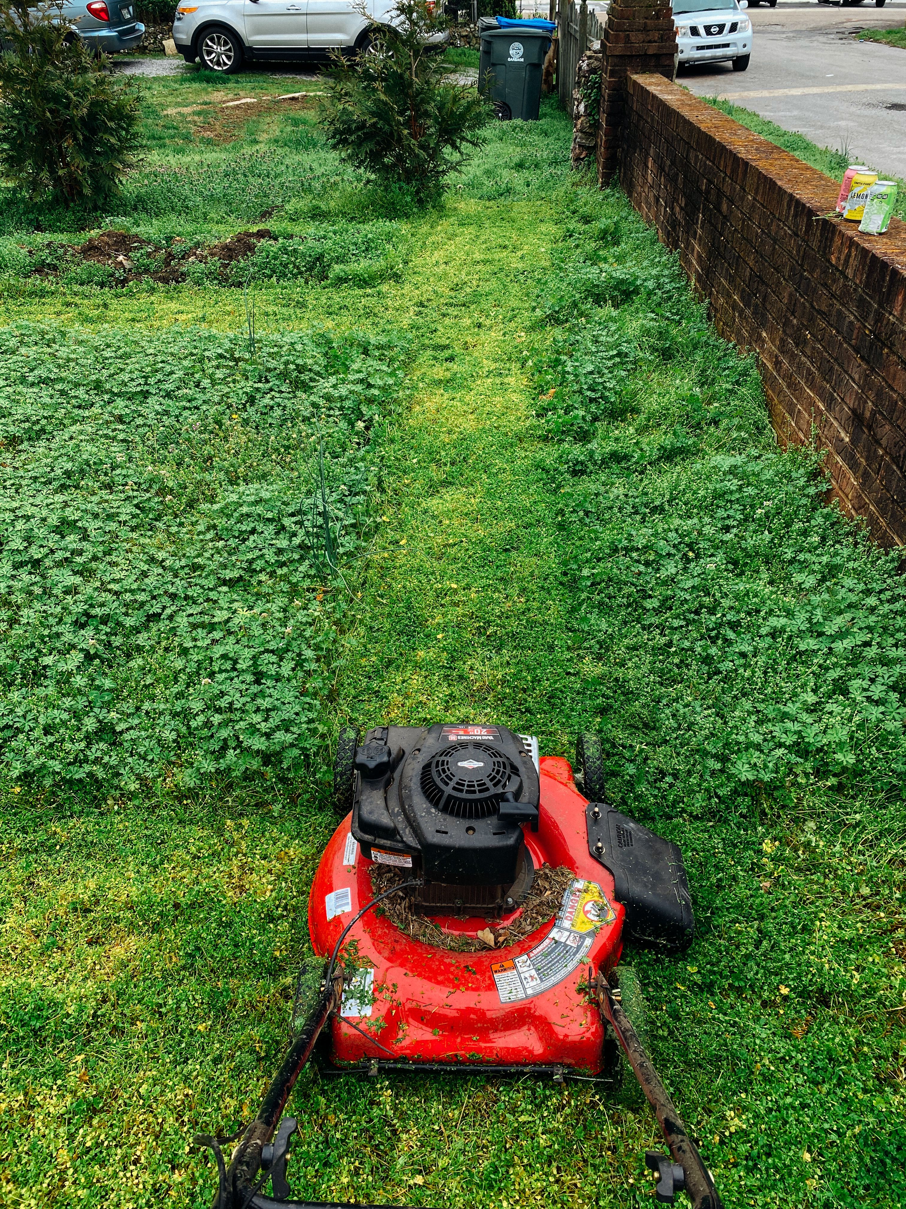 Ridgeline Lawn Co. lawn transformation