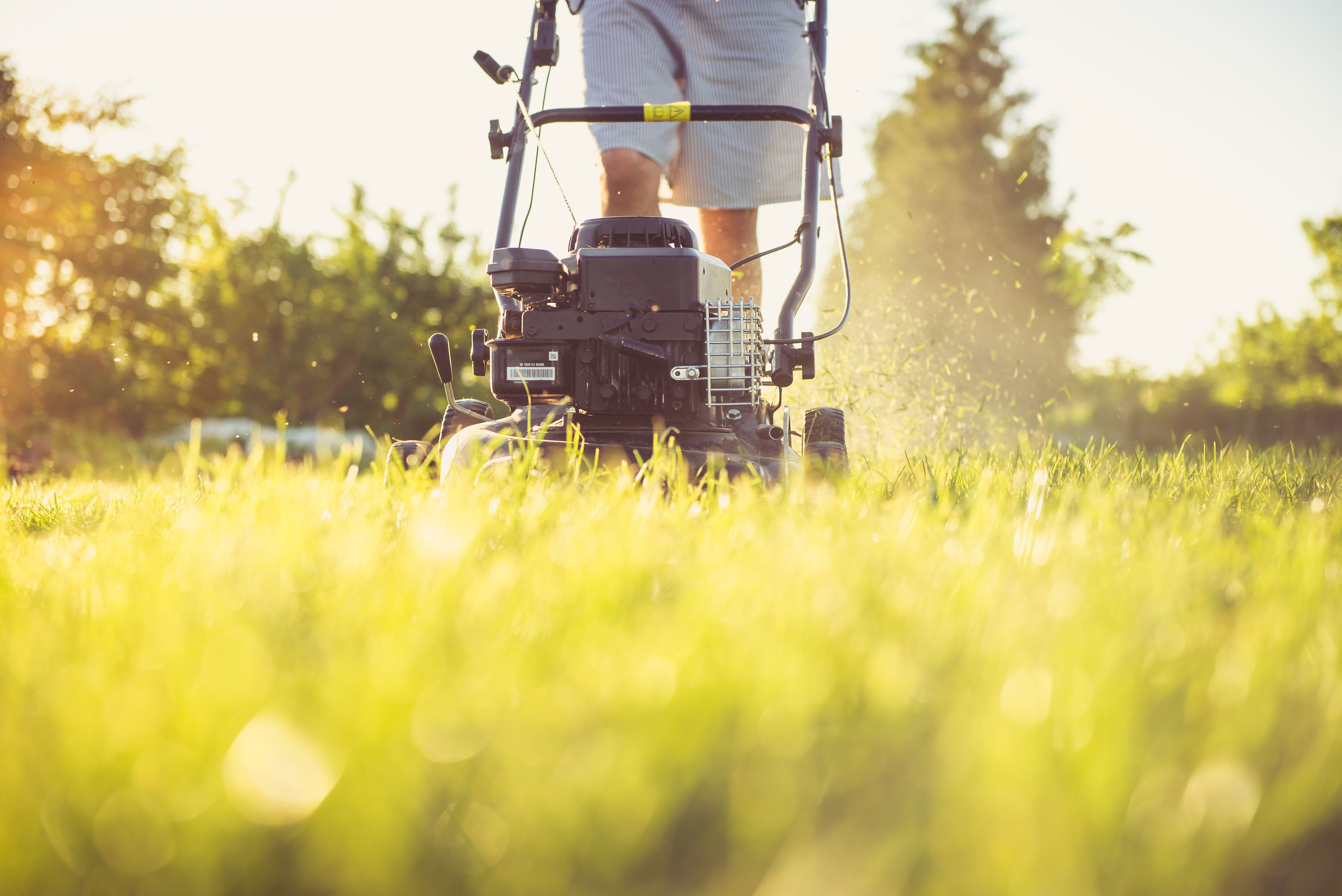 Ridgeline Lawn Co. lawn transformation