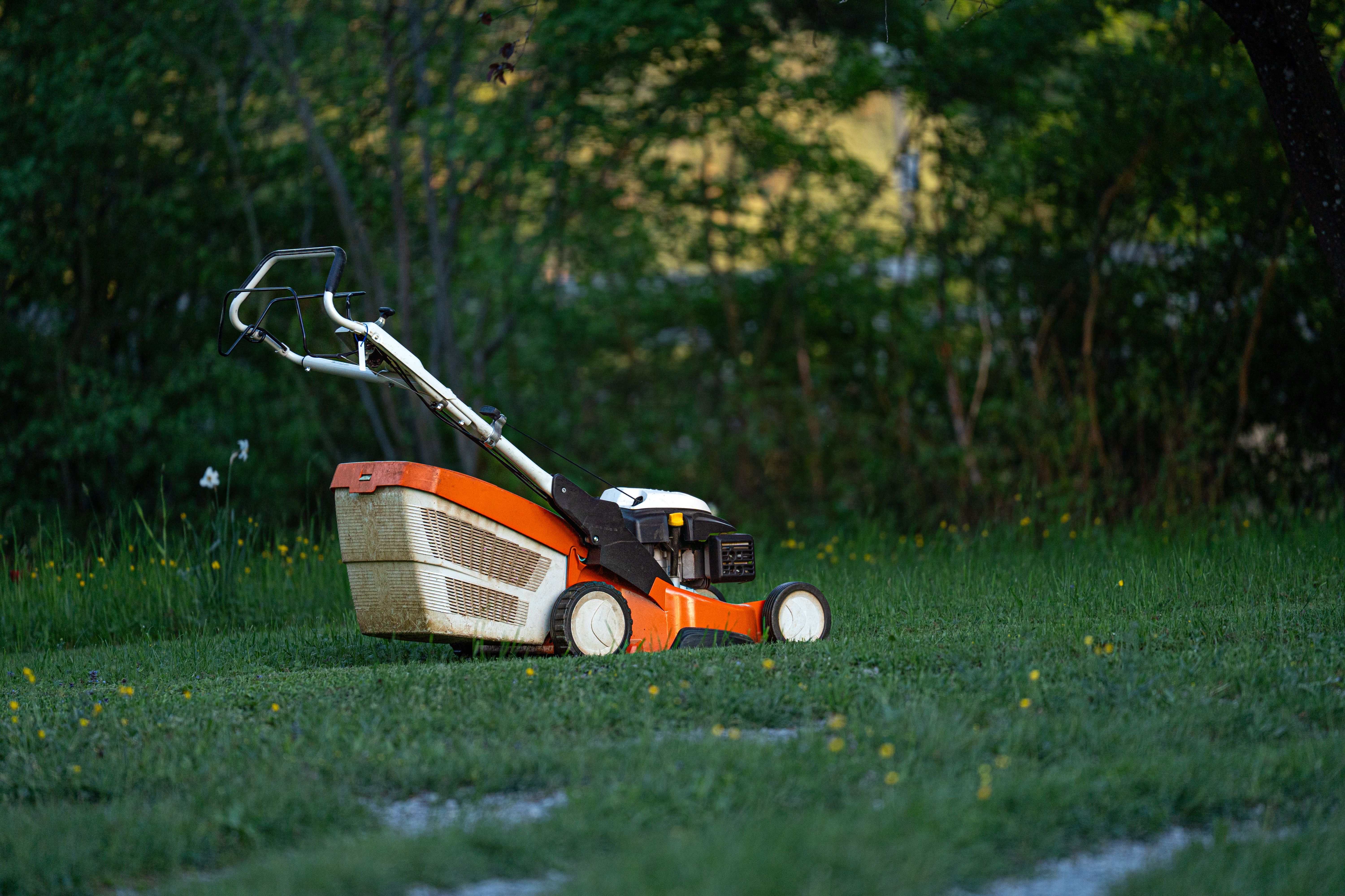 Late Spring application
