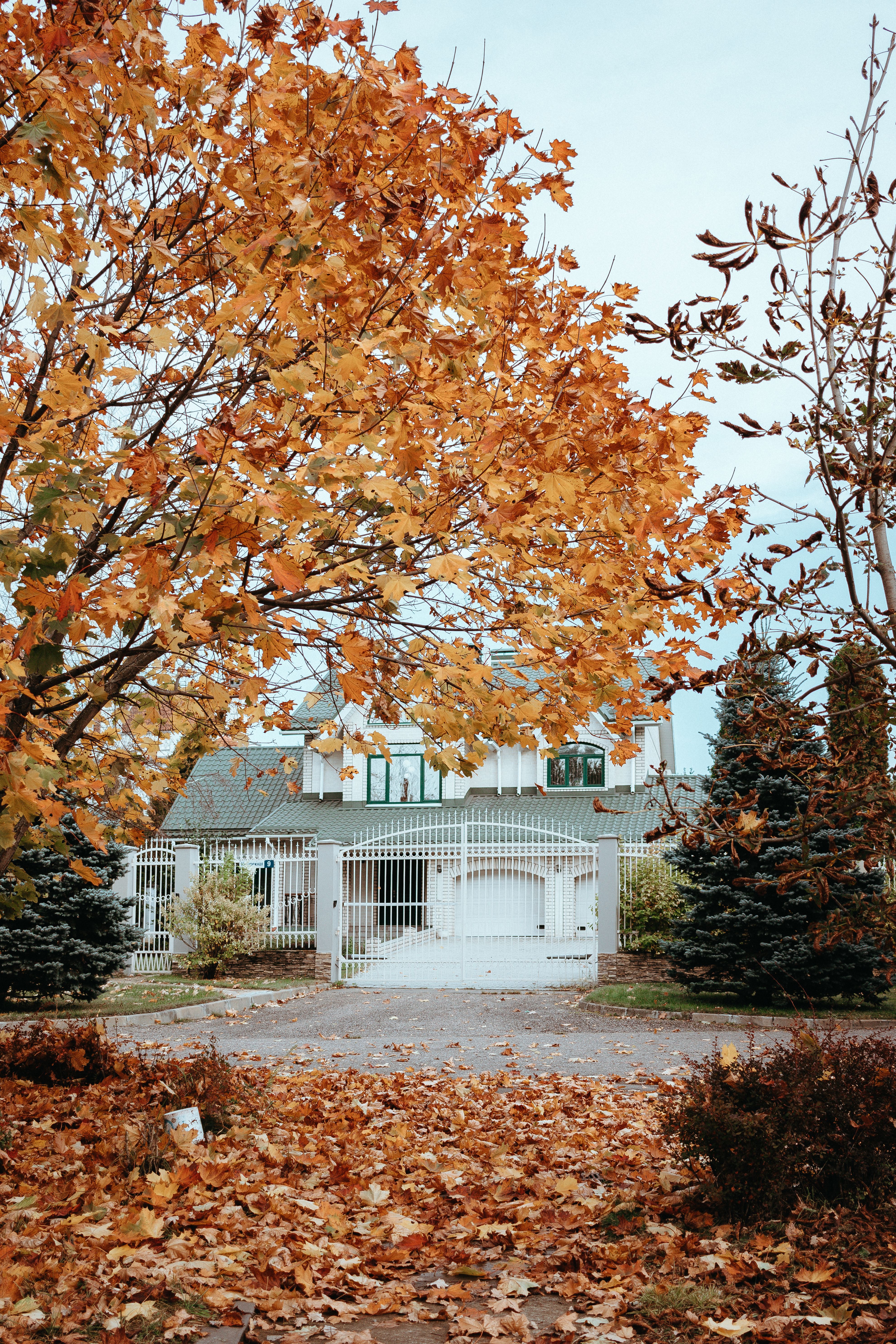 Fall Is the Real Growing Season